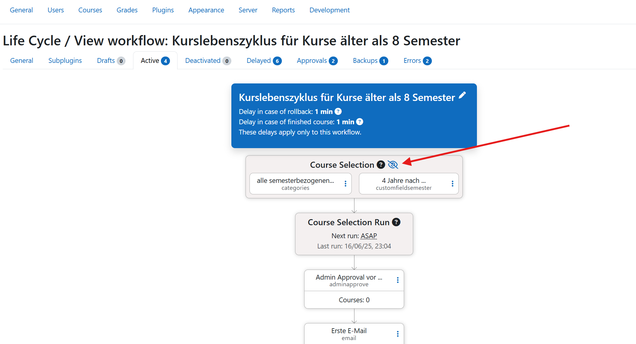 Show details of actual workflow
